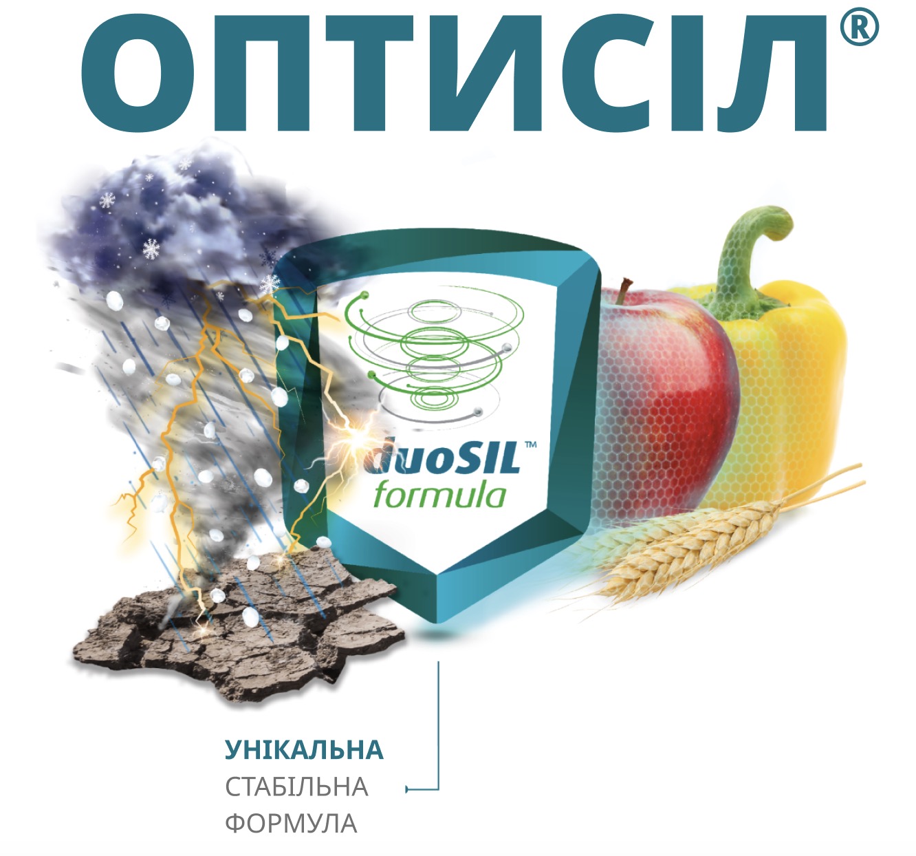 optysil intermag